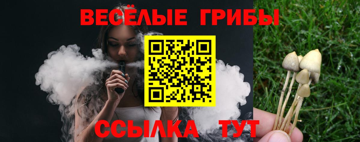 Карабулак  наркошоп  Вход с VPN  Псилоцибиновые грибы Psilocybine cubensis  Псилоцибиновые грибы MAGIC MUSHROOMS 