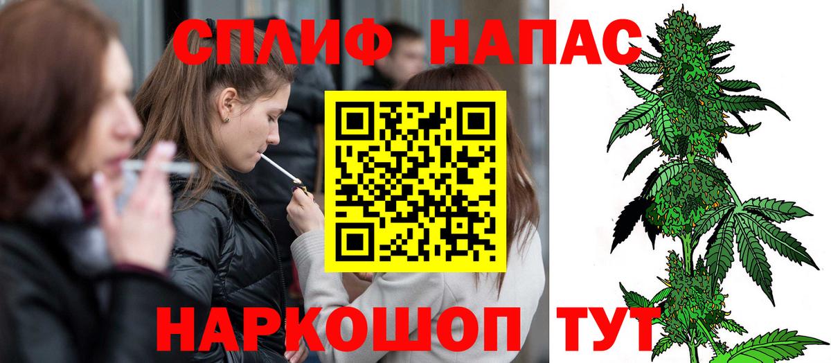 Каннабис гибрид Карабулак